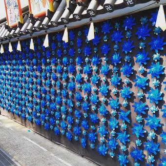 浅草寺周辺 傘車 浅草寺周辺 傘車の写真