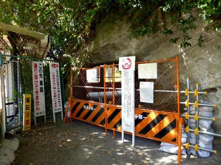 2015年・円覚寺側の「緑の隧道」通路 2015年・円覚寺側の「緑の隧道」通路 道,道路,車道の写真素材