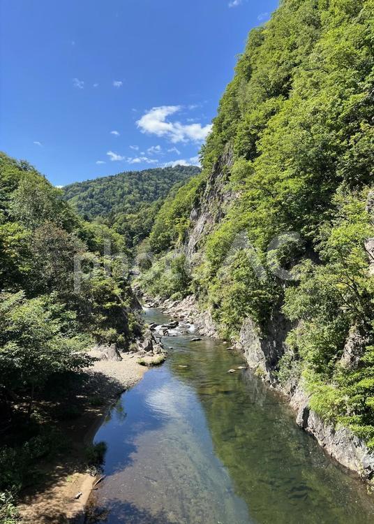 春！新緑がさわやかな渓谷（定山渓） 渓谷,夏,自然の写真素材