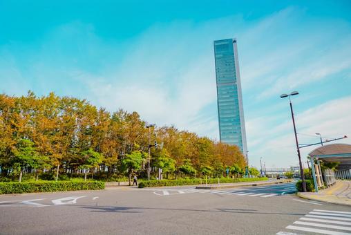【新潟】新潟駅周辺の街並み 【新潟】新潟駅周辺の街並みの写真