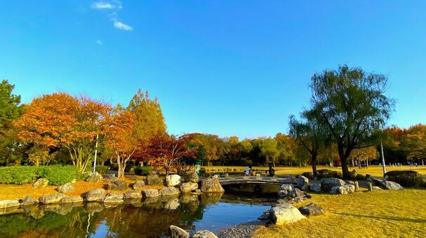 紅葉の北部公園（金沢） 紅葉,秋,公園の写真素材