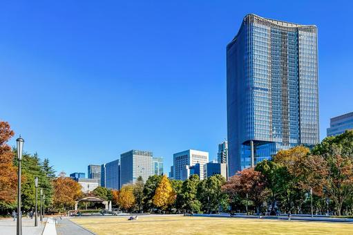 色とりどりの木々が並ぶ秋の日比谷公園 色とりどりの木々が並ぶ秋の日比谷公園 紅葉,赤,高層ビルの写真素材