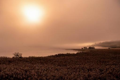 深い朝霧の中で湖畔に昇る朝日 釧路湿原,達古武湖,朝霧の写真素材