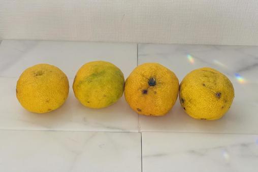 ゆず並びの写真