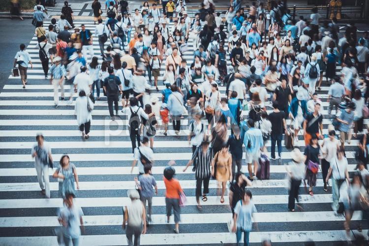 横断歩道を渡る人々 社会,不景気,横断歩道の写真素材