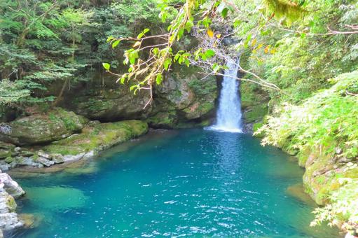 【高知県】にこ淵 【高知県】にこ淵 にこ淵,滝,滝壺の写真素材