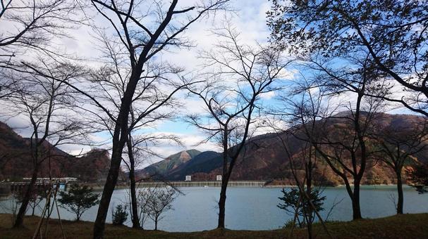 Photo, lake, a waterside, sunny day, 