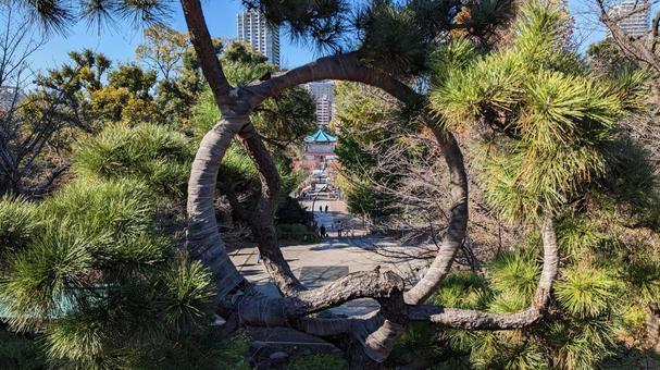 上野不忍池 弁天堂 上野不忍池,不忍池,上野公園の写真素材