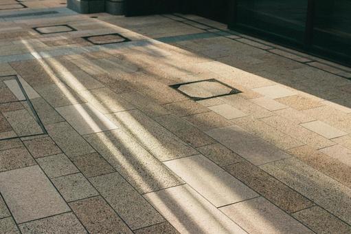 歩道の光と影 歩道の光と影 歩道,休日,歩くの写真素材
