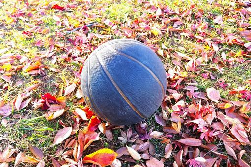 秋の公園に転がる「黒いバスケットボール」 バスケットボール,スポーツ,黒いの写真素材