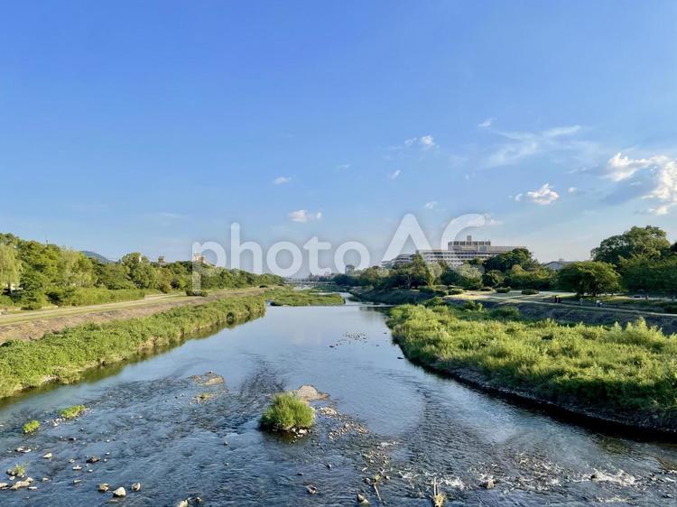 賀茂大橋から望む夏の京都鴨川 鴨川,京都,京都市の写真素材