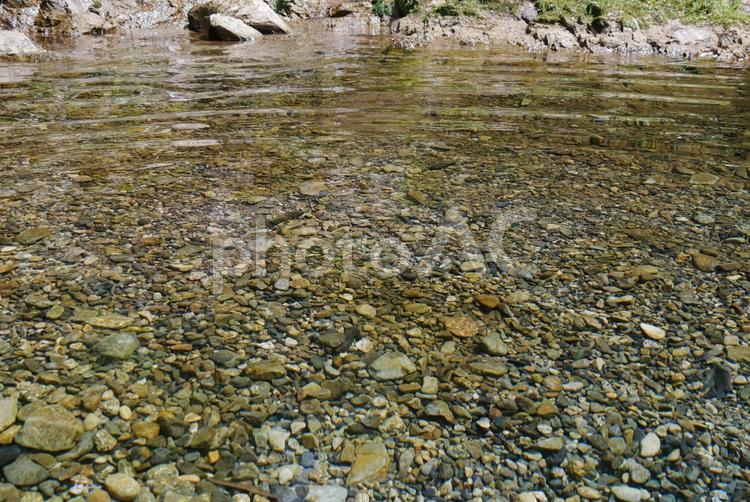 銚子川水系　又口川　透明度の高い川 又口川,銚子川,銚子川水系の写真素材