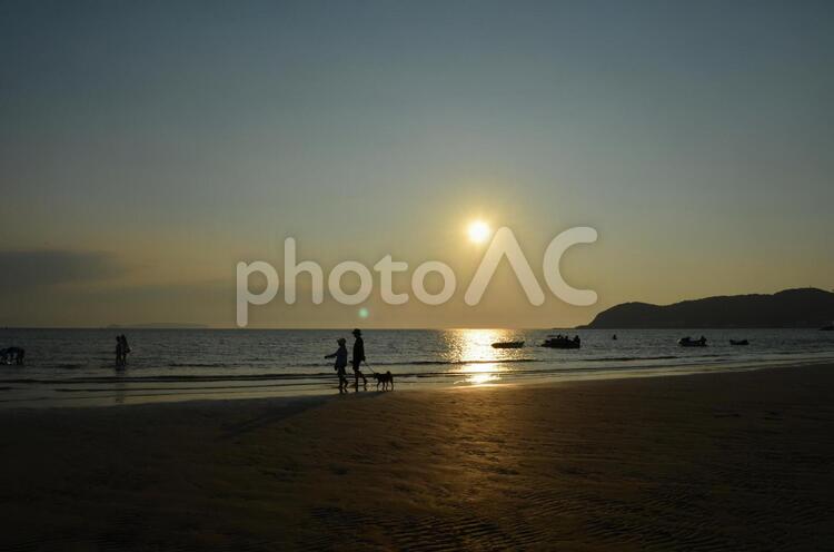 夕暮れシルエット　犬の散歩 夏,海,浜辺の写真素材