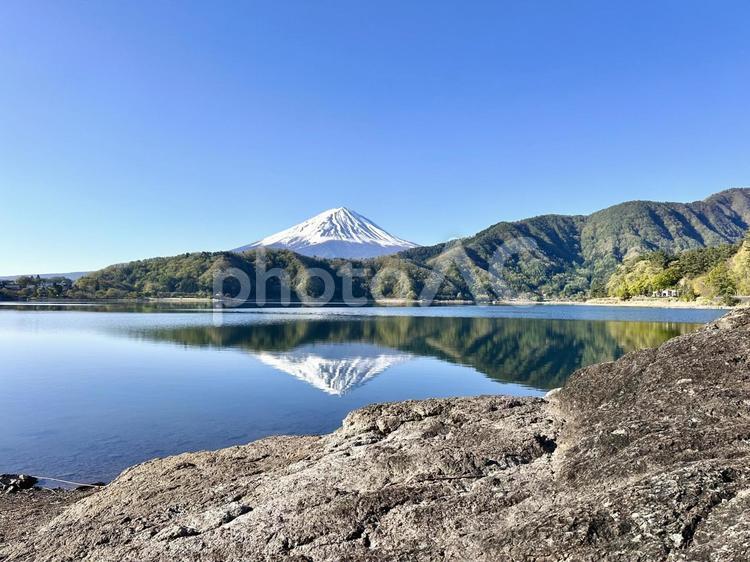 湖畔から見る河口湖と富士山 富士山,河口湖,自然の写真素材