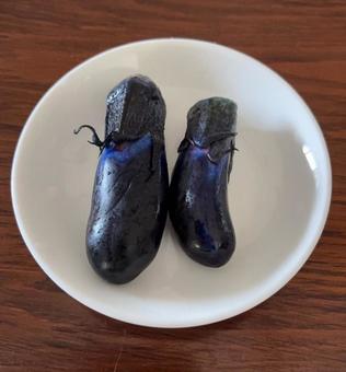 R7.09.09 茄子の糠漬け R7.09.09 茄子の糠漬け 茄子糠漬け,茄子,糠漬けの写真素材