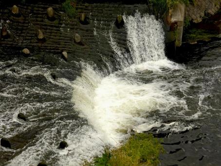 横浜市栄区柏尾川に流れ込むいたち川・拡大 川,河川,水の写真素材