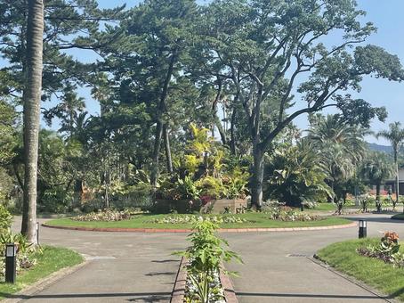 リゾートの入口 リゾートの入口 熱帯植物,南国の木,トロピカルガーデンの写真素材