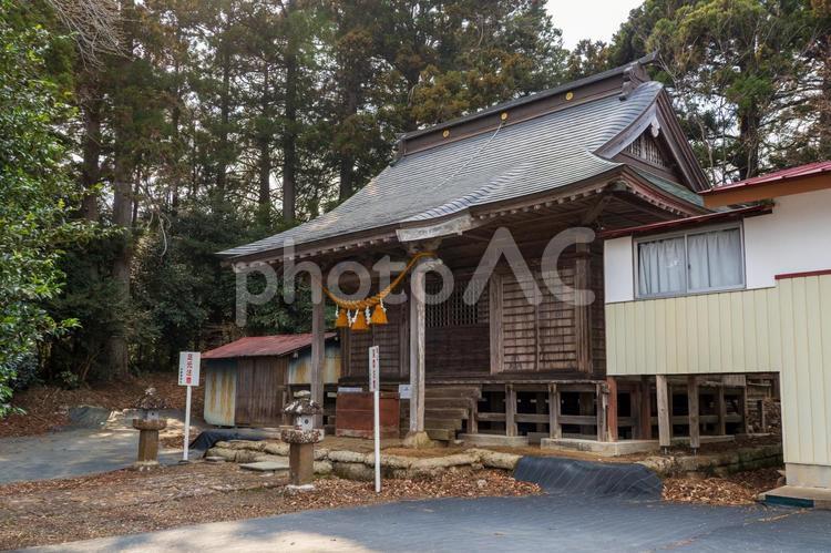 今熊野神社⒁ 神社,神社仏閣,今熊野神社の写真素材