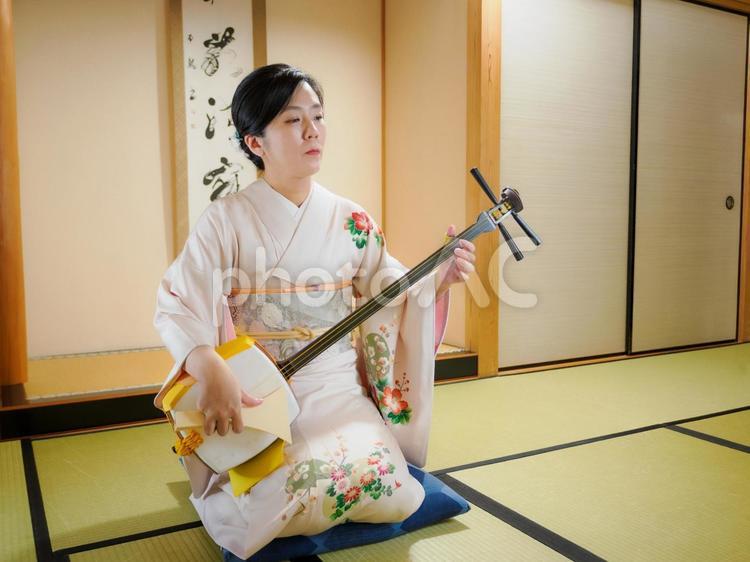 33：三味線を演奏する和服の女性 三味線,着物,伝統芸能の写真素材