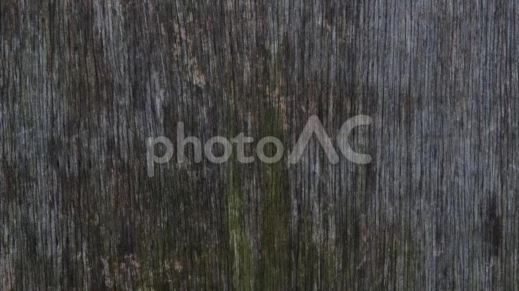 朽ちた木材　０１ 木材,木目,廃材の写真素材