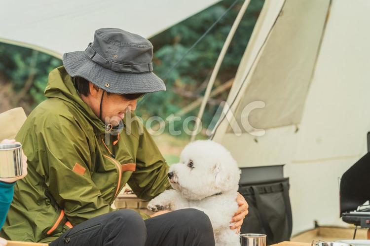犬と一緒にキャンプする男性キャンパー キャンプ,犬,アウトドアの写真素材
