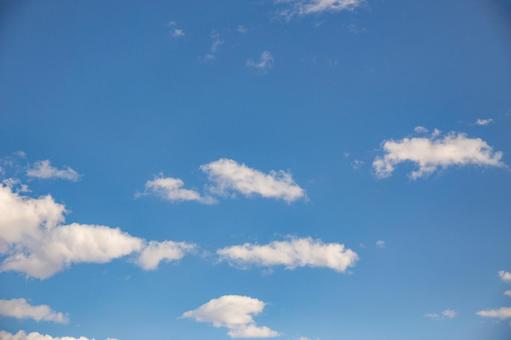 青空 青空の写真