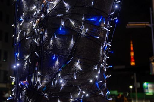 六本木のクリスマスイルミネーション 六本木のクリスマスイルミネーション イルミネーション,クリスマス,六本木の写真素材