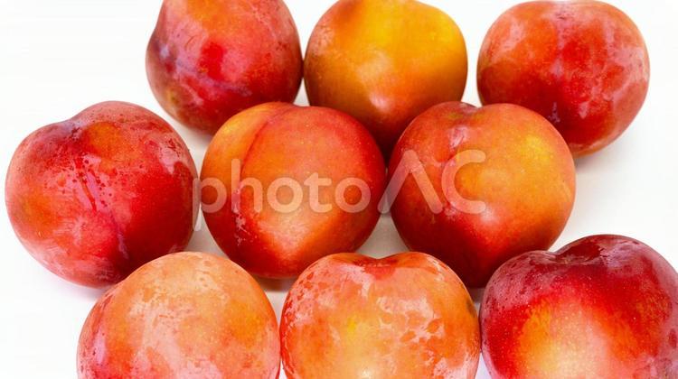 熟したプラムの盛り合わせ プラム,すもも,フルーツの写真素材