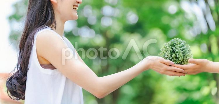 植物を持つ女性（SDGs・地球環境） 植物,sdgs,自然の写真素材