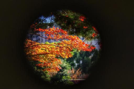 灯篭から覗く紅葉 秋,紅葉,風景の写真素材