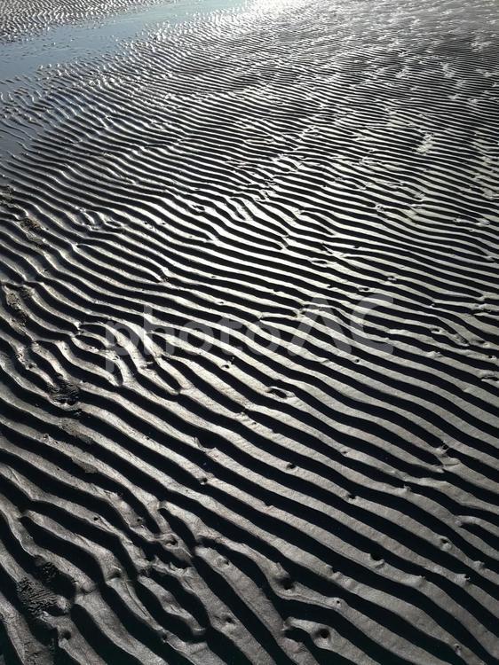 三番瀬の風紋 干潟,風紋,波紋の写真素材