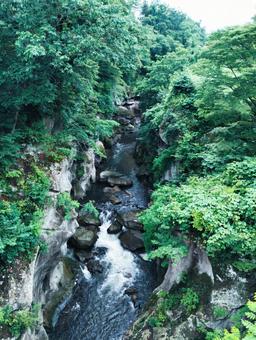 Photo, tourist spot, sightseeing, sendai, 