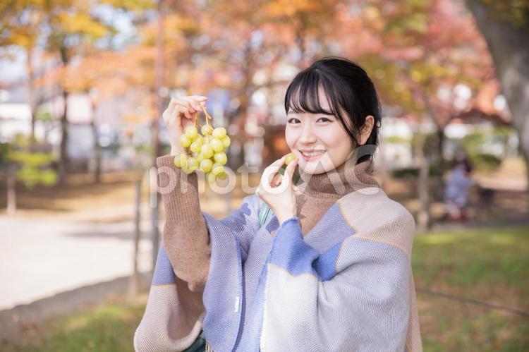 秋の公園でブドウを持つ女性（笑顔） ブドウ,シャインマスカット,マスカットの写真素材