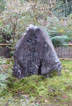 常寂光寺　時雨亭跡 常寂光寺,時雨亭跡,じょうじゃっこうじの写真素材
