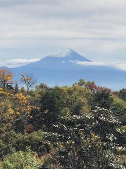 富士山 富士山の写真