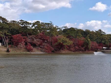愛知県-東公園-あしのべ池と紅葉 東公園,公園,あしのべ池の写真素材