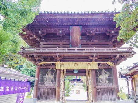【愛媛県】松山市・石手寺 石手寺,お遍路,寺社仏閣の写真素材