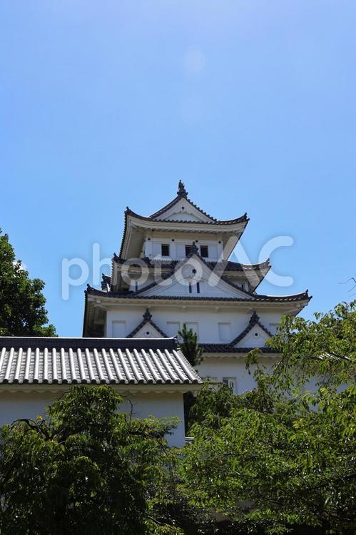 ７月下旬の大垣城の天守 大垣城,天守,城の写真素材
