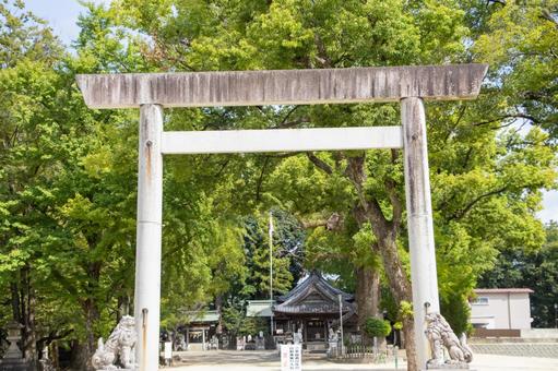 挙母神社 豊田市 挙母神社 豊田市の写真