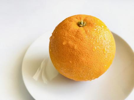 白い皿に乗せたタンカン(水滴) 白い皿に乗せたタンカン(水滴) タンカン,果物,フルーツの写真素材