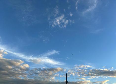 電柱、夕空、流れる雲 電柱,夕空,電線の写真素材