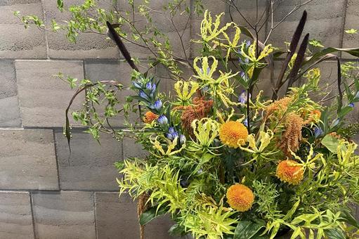 季節の生け花 季節の生け花 生け花,季節の花,花の写真素材