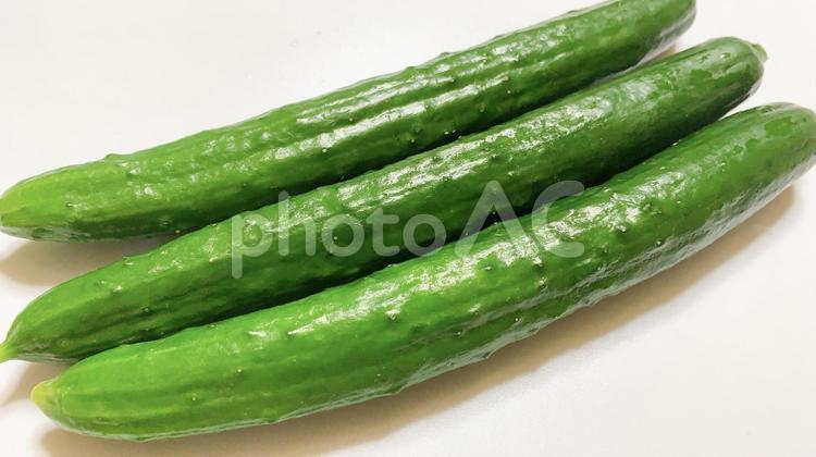 きゅうり　野菜　食材 きゅうり,胡瓜,キュウリの写真素材
