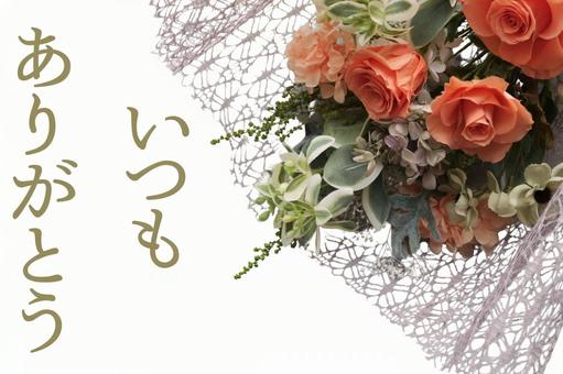 母の日のテクスチャ(オレンジ) 母の日のテクスチャ(オレンジ) バラ,薔薇,ばらの写真素材