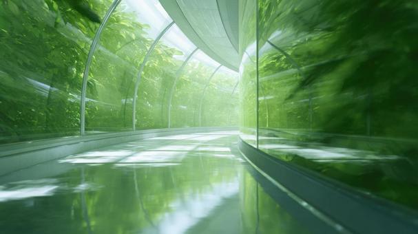 温室の緑に囲まれた通路 温室の緑に囲まれた通路の写真