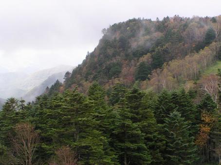 長野 長野の写真