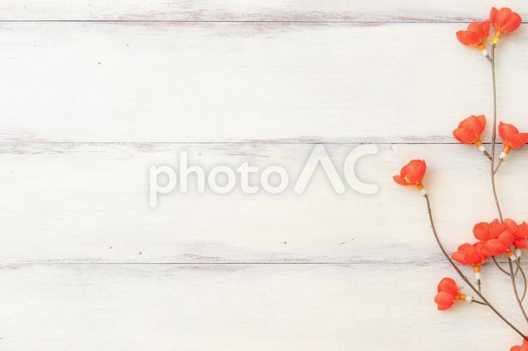 梅＋木目背景フレーム 枠,背景素材,梅の花の写真素材