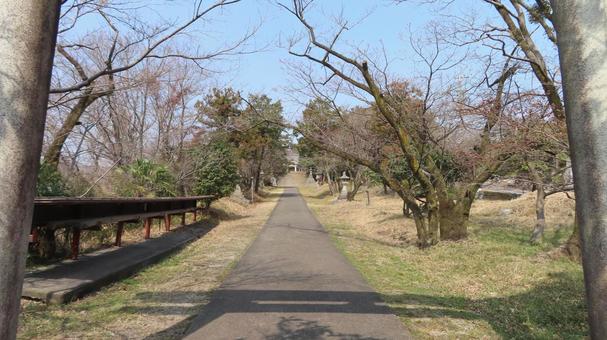 金生山神社　鳥居から参道の写真