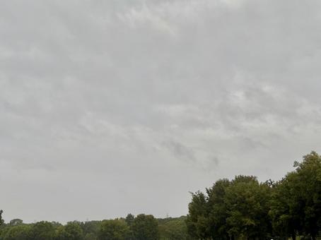 曇り空と木、コピースペースー 空,曇り空,道の写真素材