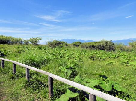 高ボッチ高原の風景 高ボッチ高原,長野県,塩尻市の写真素材